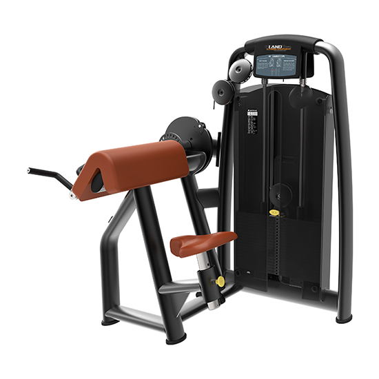 Biceps Curl/Triceps Extension