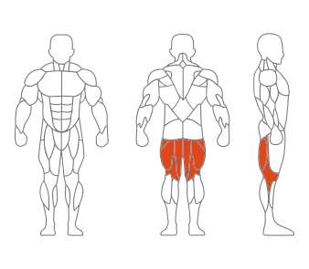LS-025A俯卧曲腿训练器